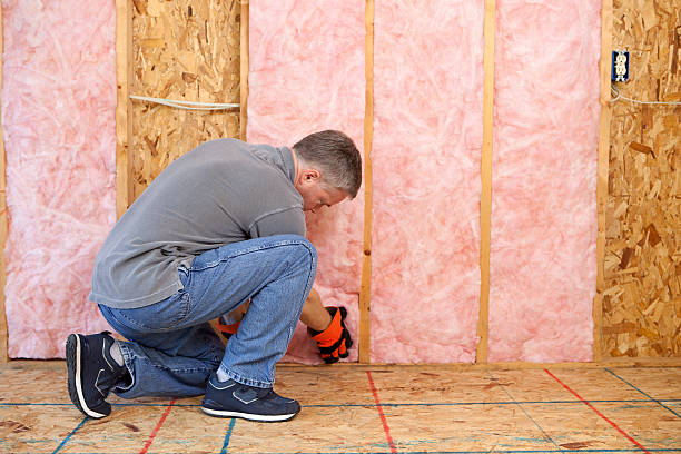 Best Insulation Maintenance and Repair in Mount Holly, NC